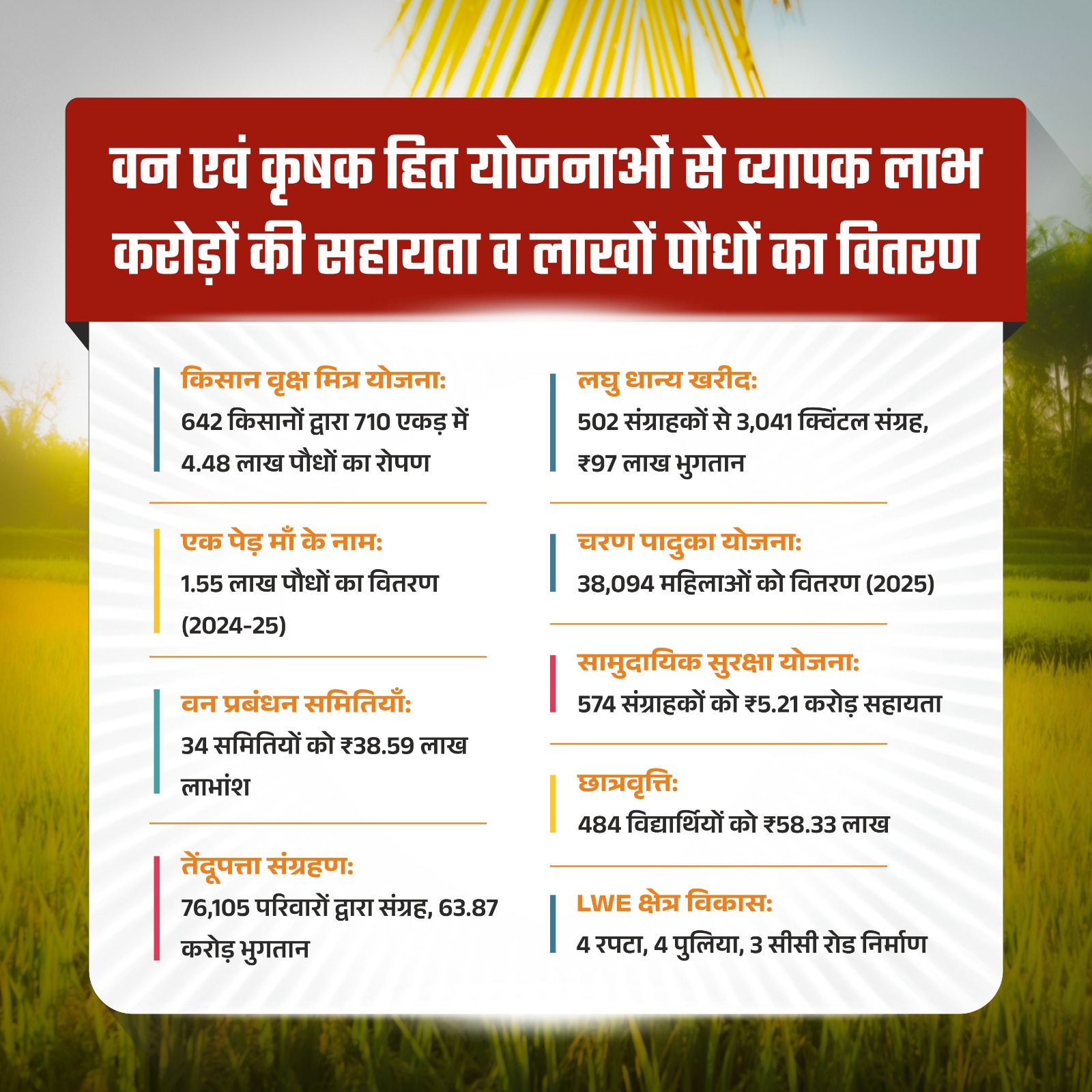 हरियाली से आर्थिक रूप से सशक्त हुए मोहला जिले के ग्रामीण,तेंदूपत्ता संग्रहण से 76 हजार 105 संग्राहक परिवारों ने 63 करोड़ 87 लाख रुपए से अधिक राशि की प्राप्त