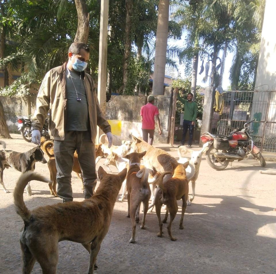 रायगढ़ जिले में आवारा कुत्तों के लिए एंटीरेबीज टीकाकरण अभियान तेज, अब तक 67 कुत्तों को लगाया गया टीका