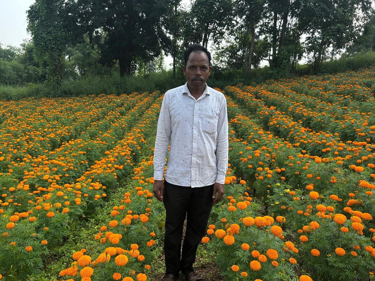 पारंपरिक खेती से उद्यानिकी की ओर बदला रुख, गेंदा फूल की खेती से किसान को मिला डेढ़ लाख का शुद्ध &nbsp;लाभ