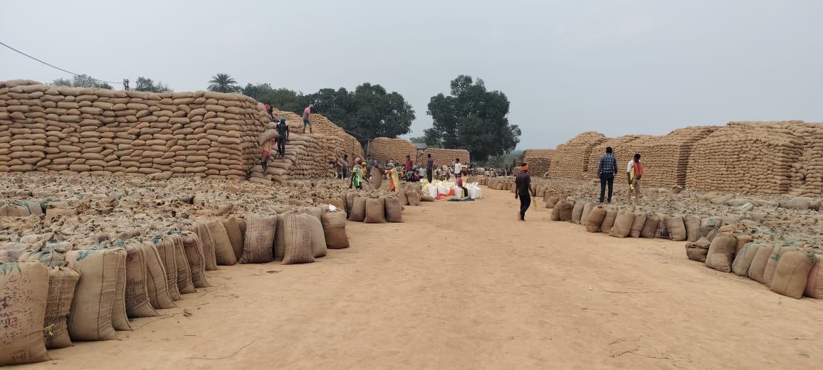 लापरवाही पड़ी भारी: धान खरीदी में अनियमितता पर तीन निलंबित, दो का वित्तीय प्रभार खत्म