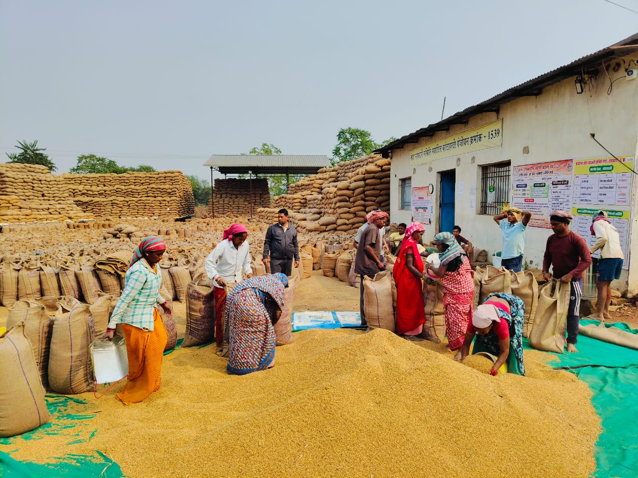 धान खरीदी जोरों पर, अब तक 2.67 लाख मीट्रिक टन की खरीदी,1.42 लाख मीट्रिक टन धान का उठाव पूर्ण, 43,714 किसानों ने बेचा धान