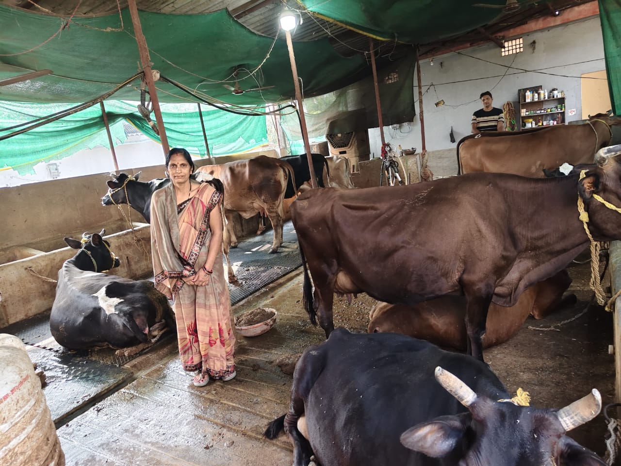 सामान्य गृहणी से सफल डेयरी उद्यमी बनी श्रीमती ज्योत्सना पटेल,महिला सशक्तिकरण की मिसाल और समाज में बनी प्रेरणा
