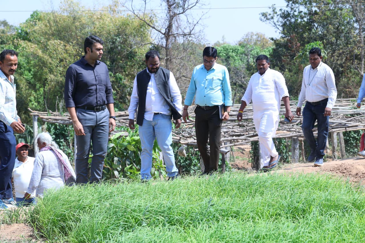 लैलूंगा में डीएमएफ मद से 50 किसानों की रागी की जैविक खेती देखी, केलो नदी के उद्गम स्थल का संरक्षण और मातृ-शिशु अस्पताल में ब्लड बैंक शुरू करने के निर्देश जारी