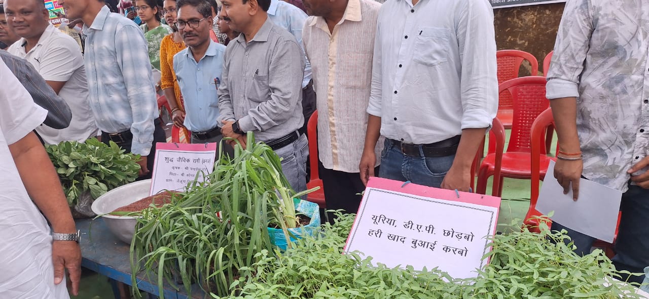 हरी खाद से बदल रही खेती की तस्वीर: कम लागत, ज्यादा मुनाफा और बेहतर मिट्टी की सेहत,लैलूंगा के किसान जतिराम 22 वर्षों से अपना रहे जैविक तरीका, दूसरे किसानों के लिए बने प्रेरणा