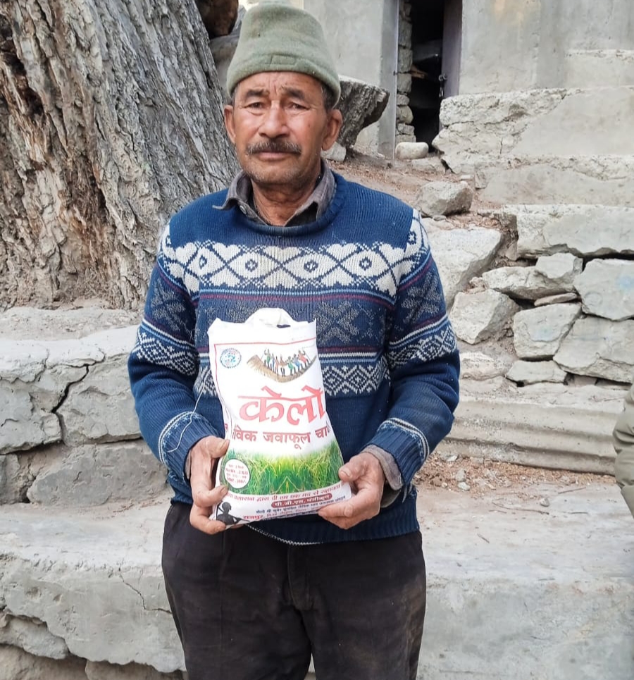 लैलूंगा से लद्दाख तक पहुंचा &lsquo;केलो&rsquo; जैविक जवाफूल चावल,प्रदेश से बाहर बढ़ रही मांग, किसानों को मिल रहा बेहतर दाम