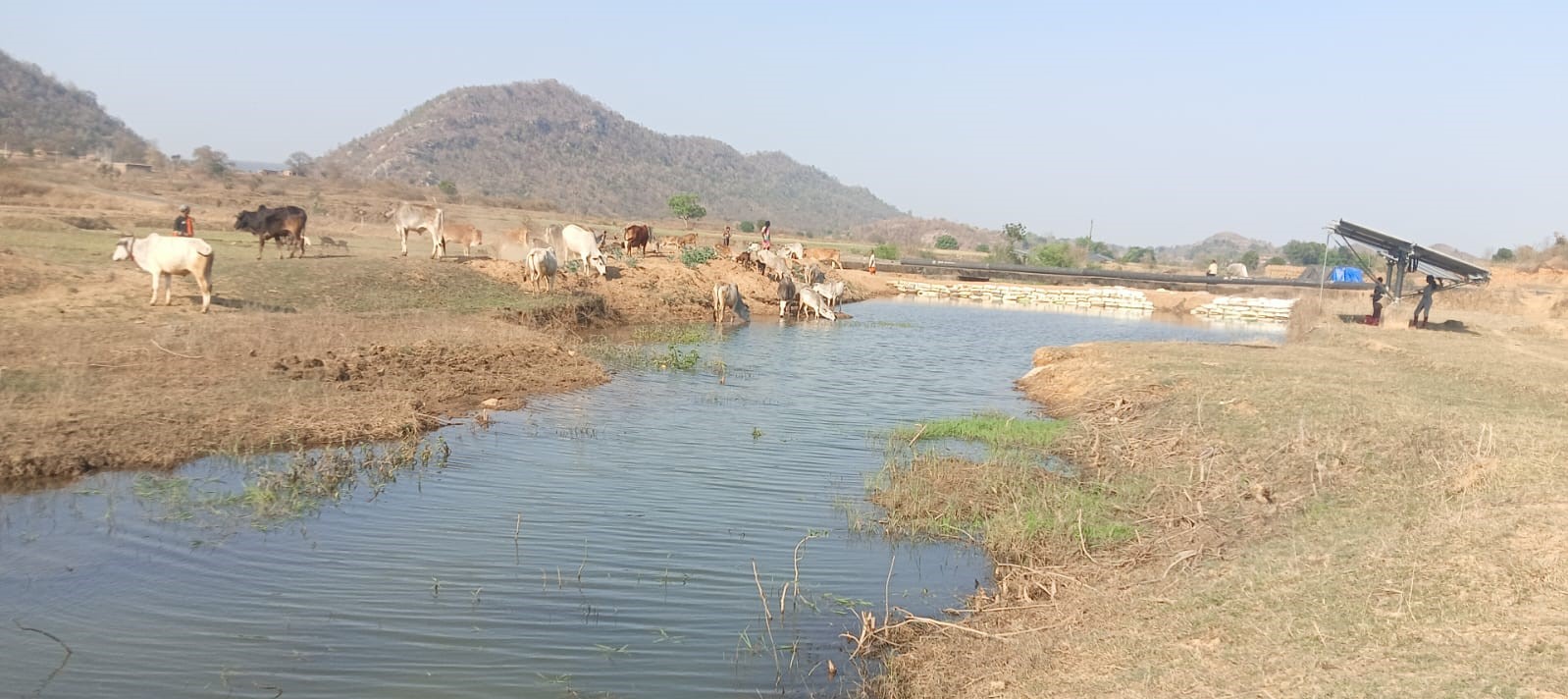 मनरेगा से पनारी नाले का जीर्णोद्धार: 1200 ग्रामीणों को पेयजल व सिंचाई का लाभ,156 मानव दिवस में हुआ कार्य, नाले में लौटा 2 मीटर जलस्तर