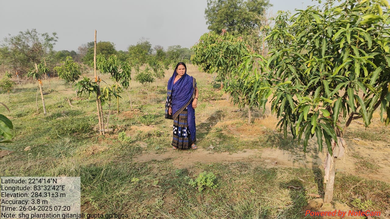 विश्व पर्यावरण दिवस पर रायगढ़ में हरित क्रांति का शंखनाद, जल संरक्षण और वृक्षारोपण से बदलेगी गांवों की तस्वीर