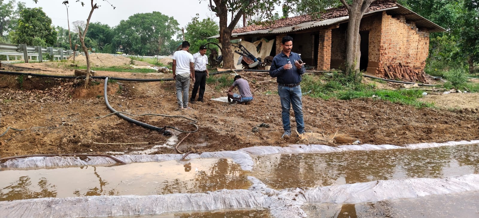 हरी खाद अपनाकर किसान बढ़ा सकते हैं मिट्टी की उर्वरता, 20 प्रतिशत तक बढ़ सकती है पैदावार और घटेगी रासायनिक खाद पर निर्भरता