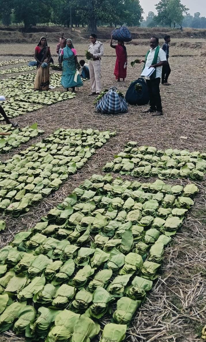 मुख्यमंत्री श्री विष्णु देव साय की पहल से तेन्दूपत्ता संग्राहकों को बड़ी सौगात, धरमजयगढ़ जिला यूनियन की 58 समितियों के 46,840 हितग्राहियों के खातों में पहुंचने लगे 17.43 करोड़ रुपये के बोनस