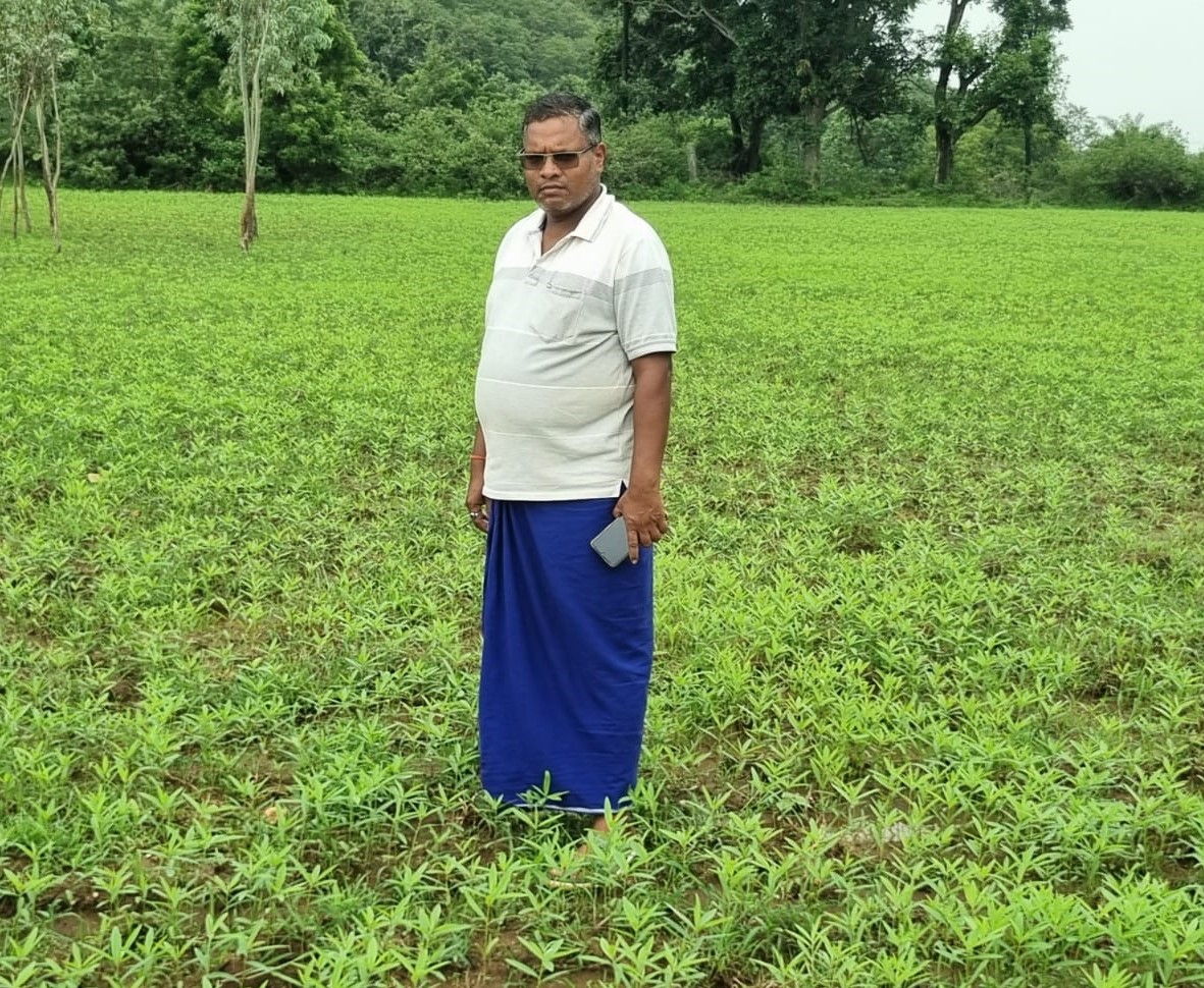 धान छोड़ सन की खेती की ओर बढ़े लैलूंगा के किसान सुखदेव सिदार,चार एकड़ में लगाया सन बीज, बीज निगम करेगा खरीदी, चार लाख रुपये आय का अनुमान