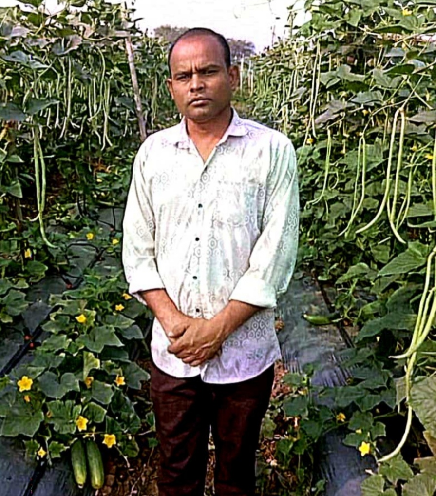 खेती का तरीका बदला तो बढ़ा उत्पादन और मुनाफा,राज कुमार साहू ने बरबटी और खीरा की खेती से कमाया 2.70 लाख रुपये का शुद्ध लाभ
