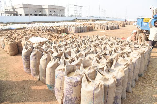 सहकारी कर्मचारियों के हड़ताल बेअसर: राज्य के सभी जिलों में निरंतर जारी है धान खरीदी