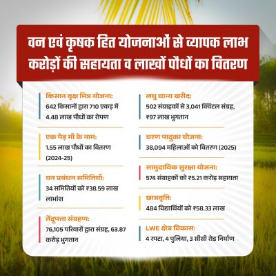 हरियाली से आर्थिक रूप से सशक्त हुए मोहला जिले के ग्रामीण,तेंदूपत्ता संग्रहण से 76 हजार 105 संग्राहक परिवारों ने 63 करोड़ 87 लाख रुपए से अधिक राशि की प्राप्त