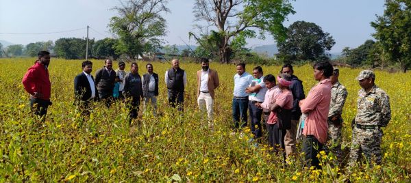 भारत सरकार के संयुक्त सचिव श्री पी. अंबलगन ने प्रधानमंत्री धन-धान्य कृषि योजना के तहत रामतिल फसल का किया निरीक्षण