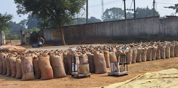 जिले में अब तक 64 हजार 298 क्विंटल धान की खरीदी-किसानों में उत्साह, उपार्जन केंद्रों में बेहतर व्यवस्थाएं