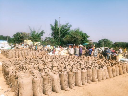 रिकॉर्ड धान खरीदी: जिले में अब तक 8,89,778.80 क्विंटल धान की खरीदी, 18,176.75 लाख से अधिक का सीधा भुगतान