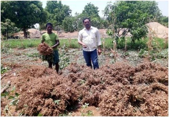 प्राकृतिक खेती की मिसाल बने छर्राटांगर के किसान तुलसी राम मांझी,कम लागत और अधिक उत्पादन से बढ़ी आमदनी