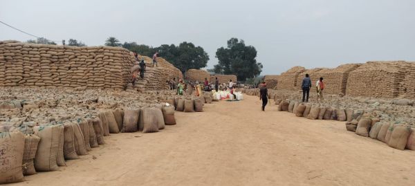 लापरवाही पड़ी भारी: धान खरीदी में अनियमितता पर तीन निलंबित, दो का वित्तीय प्रभार खत्म