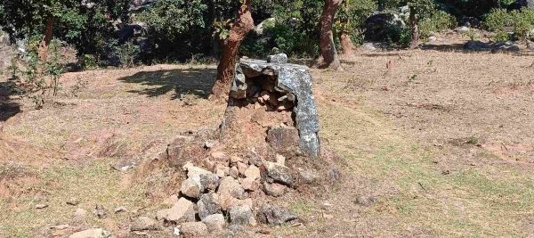 बादलखोल अभ्यारण्य के इस बिट में वन सीमा का मुनारा वर्षों से मरम्मत के इंतज़ार में ,नाकेदार ओर दरोगा की लापरवाही बेनकाब,बढ़ सकता है अतिक्रमण का खतरा