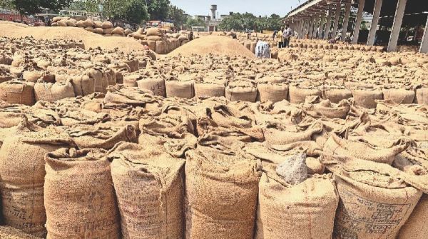 धान खरीदी में नया रिकॉर्ड: 13 जनवरी तक 17.77 लाख किसानों के खातों में पहुंचा ₹23,448 करोड़