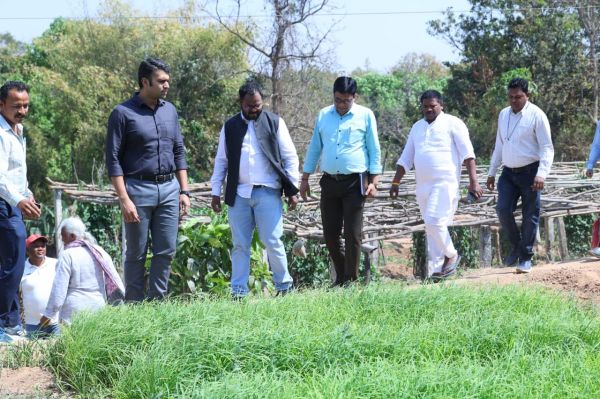 लैलूंगा में डीएमएफ मद से 50 किसानों की रागी की जैविक खेती देखी, केलो नदी के उद्गम स्थल का संरक्षण और मातृ-शिशु अस्पताल में ब्लड बैंक शुरू करने के निर्देश जारी