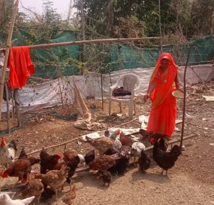 बिहान योजना से खुली आत्मनिर्भरता की राह: मुर्गीपालन, गौपालन और मेहनत के दम पर कुमुद बाई बनीं सशक्त महिला, गांव की महिलाओं के लिए बनीं प्रेरणा