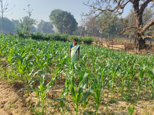 सब्जी उत्पादन से आत्मनिर्भर बनीं सविता राठिया :&nbsp;60 हजार रुपये की राशि से शुरू की आजीविका गतिविधि, नियमित आय का बना मजबूत साधन