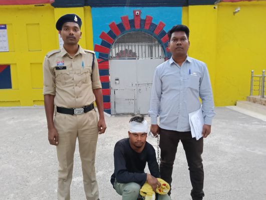 बिजली जाने के विवाद से शुरू हुआ झगड़ा, घर में घुसकर महिला से छेड़खानी करने वाला आरोपी गिरफ्तार &mdash; महिला थाना पुलिस की त्वरित कार्रवाई, आरोपी को भेजा गया जेल