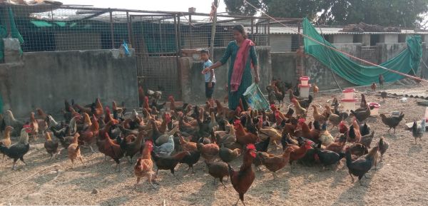 सुदूर वनांचल की रजनी ने लिखी आत्मनिर्भरता की नई कहानी, एक लाख के ऋण से शुरू किया मुर्गा फार्म, मेहनत से बदली अपनी और परिवार की जिंदगी