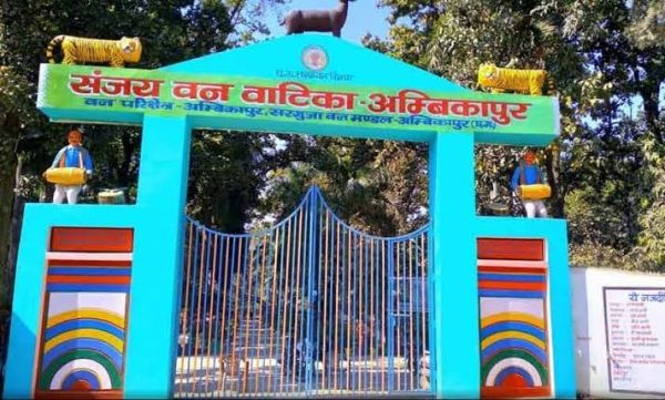 संजय वन वाटिका में दर्दनाक हादसा: आवारा कुत्तों के हमले में 15 हिरणों की मौत, सुरक्षा व्यवस्था पर उठे गंभीर सवाल &mdash; लापरवाही पर 5 कर्मचारी निलंबित, वन विभाग अलर्ट मोड में