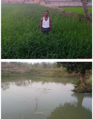 डबरी, मछली पालन और बहुफसली खेती से बदली तकदीर&mdash;सगनू बने गांव के प्रेरणास्रोत