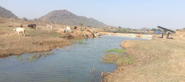 मनरेगा से पनारी नाले का जीर्णोद्धार: 1200 ग्रामीणों को पेयजल व सिंचाई का लाभ,156 मानव दिवस में हुआ कार्य, नाले में लौटा 2 मीटर जलस्तर