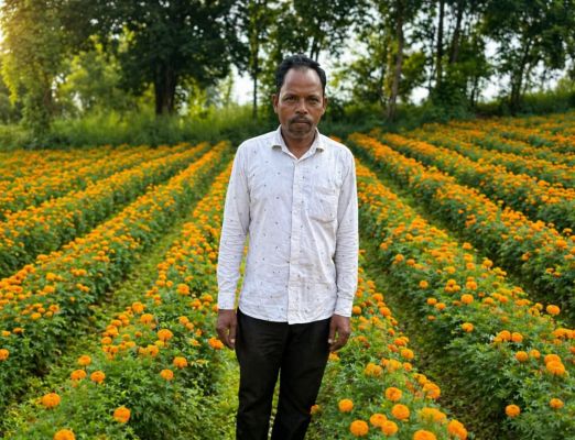 फूलों की खुशबू से महकी किस्मत: एनएचएम योजना से किसान की आमदनी में बड़ा इजाफा ,परंपरागत खेती छोड़ फूलों की खेती अपनाई, कम लागत में मिला ज्यादा मुनाफा