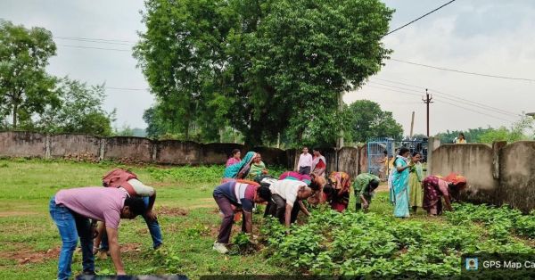 नए शिक्षा सत्र से पहले स्कूलों को संवारने की बड़ी पहल, फरसाबहार विकासखंड में स्वच्छता अभियान बना जनआंदोलन, सरपंच से लेकर पालकों तक ने निभाई सक्रिय भूमिका