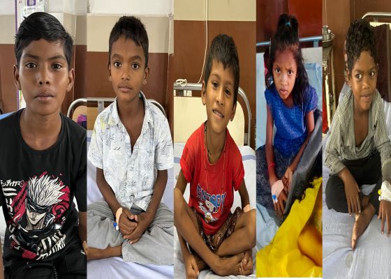 काल बनकर डंसे करैत, कोबरा और वाइपर... लेकिन रायगढ़ मेडिकल कॉलेज ने मौत को दी मात, पाँच मासूमों को मिला नया जीवन