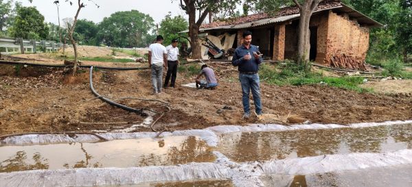 हरी खाद अपनाकर किसान बढ़ा सकते हैं मिट्टी की उर्वरता, 20 प्रतिशत तक बढ़ सकती है पैदावार और घटेगी रासायनिक खाद पर निर्भरता