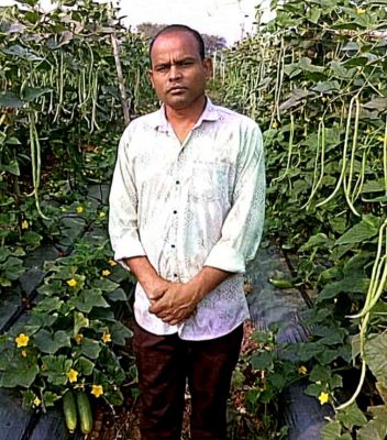 खेती का तरीका बदला तो बढ़ा उत्पादन और मुनाफा,राज कुमार साहू ने बरबटी और खीरा की खेती से कमाया 2.70 लाख रुपये का शुद्ध लाभ